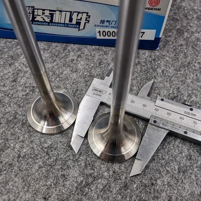 WEICHAI WP13 valve for SINOTURK HOWO C7H C9H SHACMAN X6000 LGMG mining truck engine parts Exhaust valve Easy Installation