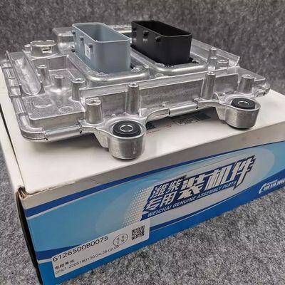 OE NO. 4110001117145 SINOTRUK HOWO SHACMAN WEICHAI LGMG WP13 diesel engine parts Electronic control unit ECU Shacman