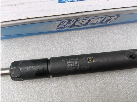 Weichai WD618 WP12 Engine 420 Horsepower Parts Common Rail Fuel Injection Assembly 0.37kg Purpose for Replace/Repair