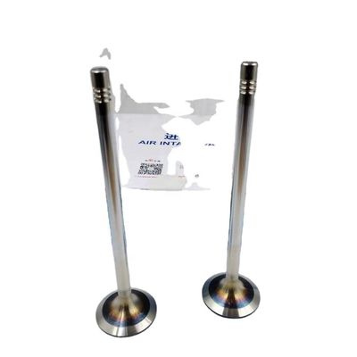 OEM Shacman Intake Valve for Sinotruk LGMG Weichai WP12 WP13 Diesel Engine 612630050001 612630050146 4110001050033