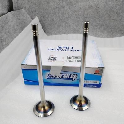 OEM Shacman Intake Valve for Sinotruk LGMG Weichai WP12 WP13 Diesel Engine 612630050001 612630050146 4110001050033