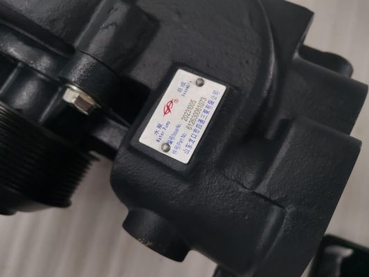 10PK Weichai WP12 WP13 Diesel Engine Water Pump for Sinotruk Howo Truck Shacman LGMG Mining Truck 612630061073 1000804126