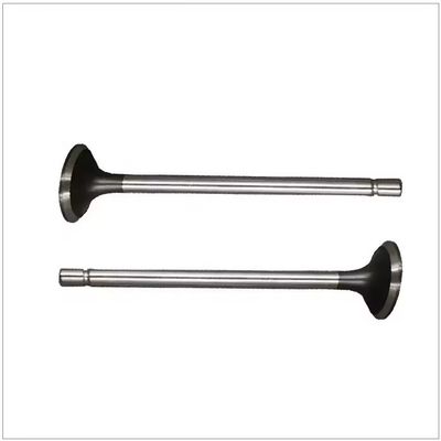 Avaiable WEICHAI WP13 LGMG mining truck engine parts Exhaust valve 4110001595067 1000059377 Purpose for replace/repair