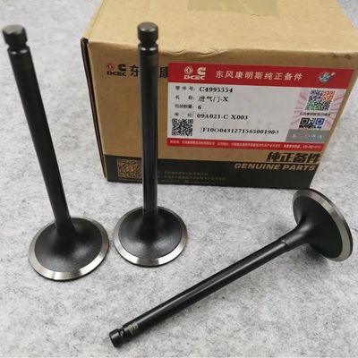 Original Metal Orignal 6BT5.9 Engine Intake Valve for Dongfeng Cumminss 3802355 3901117 Original