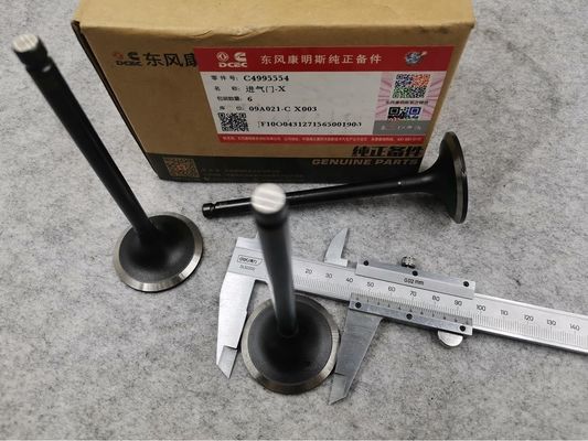 Original Metal Orignal 6BT5.9 Engine Intake Valve for Dongfeng Cumminss 3802355 3901117 Original