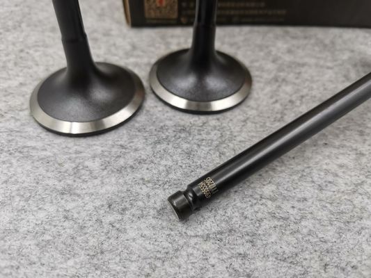Original Metal Orignal 6BT5.9 Engine Intake Valve for Dongfeng Cumminss 3802355 3901117 Original