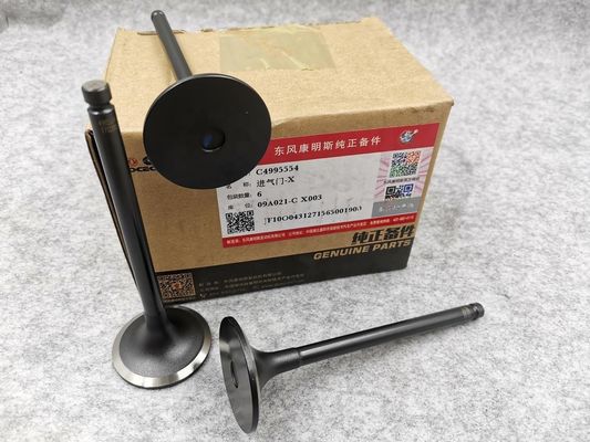 Original Metal Orignal 6BT5.9 Engine Intake Valve for Dongfeng Cumminss 3802355 3901117 Original