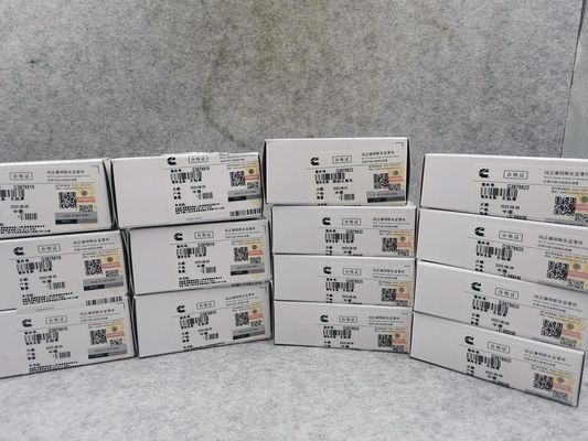 Steel Cummins 6BT 5.9 Truck Engine Parts 3357480 3978822 3978818 3978820 4955352 Crankshaft Bearing Main Bearing Bush