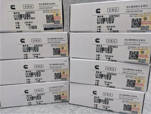 Steel Cummins 6BT 5.9 Truck Engine Parts 3357480 3978822 3978818 3978820 4955352 Crankshaft Bearing Main Bearing Bush