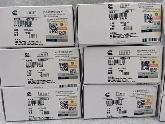 Steel Cummins 6BT 5.9 Truck Engine Parts 3357480 3978822 3978818 3978820 4955352 Crankshaft Bearing Main Bearing Bush
