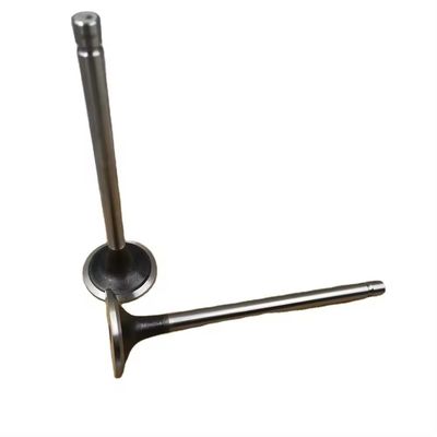 Replace/Repair Intake Valve for Cummins 6L ISC Diesel Engine Parts Komatsu PC300-8 3942588 3942589 6744-41-4040 Made