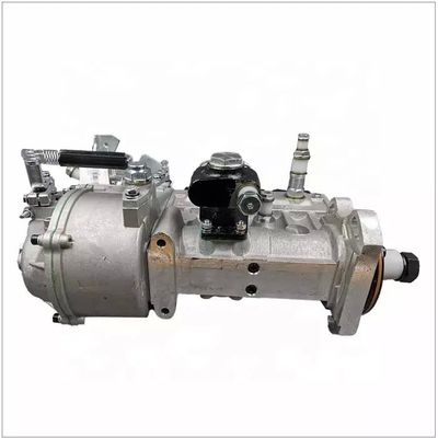 612601080546 Fuel Injection Pumps BHT6P120R Heavy Truck Parts WEICHAI WD615 DEUTZ FL912 FL913