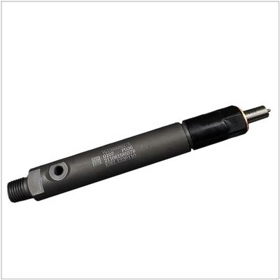 Sinotruk HOWO Engine Parts Fuel Injector VG1560080276 for WD615 Engine Code