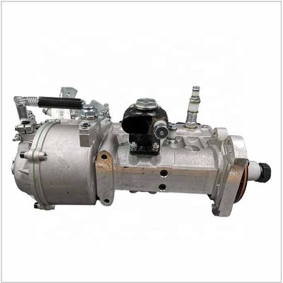 612601080578 BH6P120011 fuel injection pumps for  Loader excavator WEICHAI  WD615 WD10 construction machinery fuel injection pum