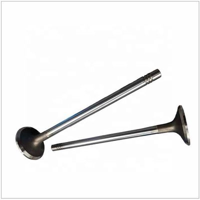 2005- Year Truck Parts for Shacman Sinotruck HOWO FAW Foton Dongfeng Cunmmins Weichai Deuzt Engine Spare Parts Exhaust Valve