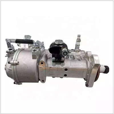 612601080578 Diesel Fuel Injection Pumps for Weichai Engine Truck WD615 WD10 WP12 ISUZU 1967-1981 Car Fitment Guaranteed