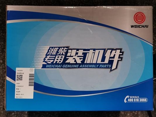 226B-13053063 BH6PN102R B6AD548G-R Fuel Injection Pump for WEICHAI WP4 WP6 WP8 Engine on SDLG LIUGONG SANY FOTON Loader