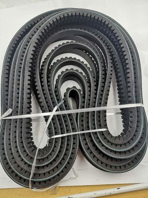 SC-16CZ005 Shanghai SDEC C6121 Loader Tractor Engine Belt Perfect Fit for Your Machinery