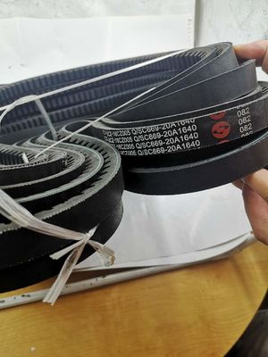 SC-16CZ005 Shanghai SDEC C6121 Loader Tractor Engine Belt Perfect Fit for Your Machinery