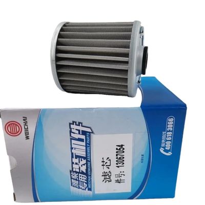 5272087 JZ060801 860135413 4110000189031 300080079 13067054 SN25129 Fuel filter for Shacman WEICHAI WP6 engine LGMG SDLG XCMG SEM