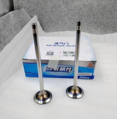 OEM Shacman Intake Valve for Sinotruk LGMG Weichai WP12 WP13 Diesel Engine 612630050001 612630050146 4110001050033