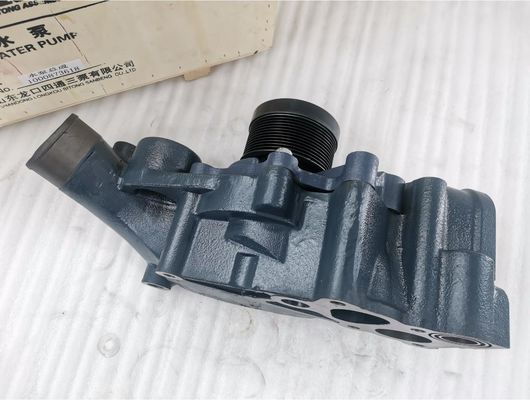 OE NO. 1000873618 12PK Weichai WP12 WP13 EFI engine Water pump for Sinotruk Howo truck Shacman LGMG mining truck